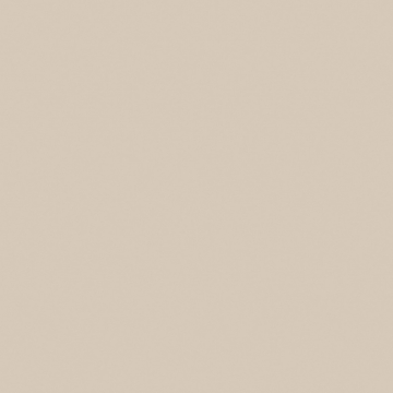 Керамический гранит RW01 60x60 Непол.Рект.